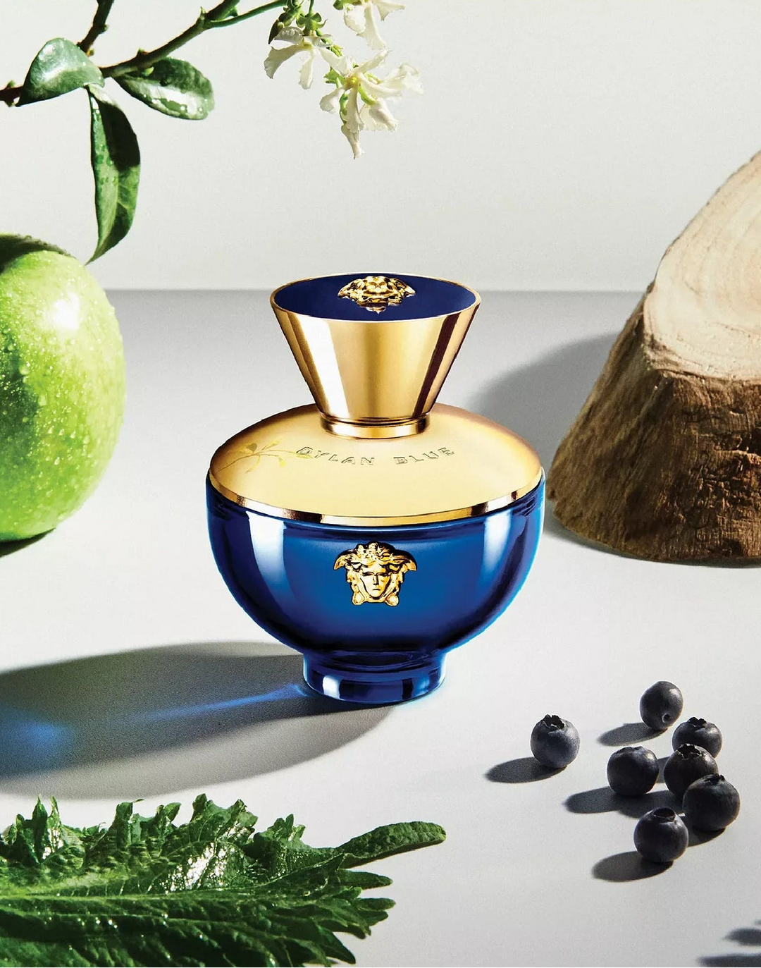 Versace Dylan Blue Pour Femme Eau de Parfum 100ml/3.4 fl oz